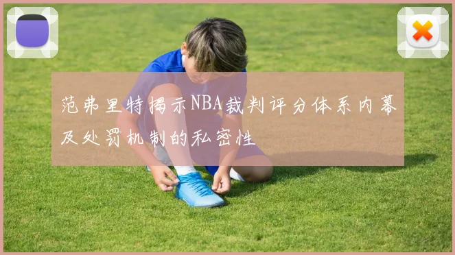 范弗里特揭示NBA裁判评分体系内幕及处罚机制的私密性