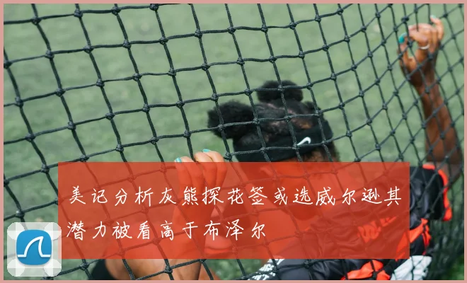 美记分析灰熊探花签或选威尔逊其潜力被看高于布泽尔